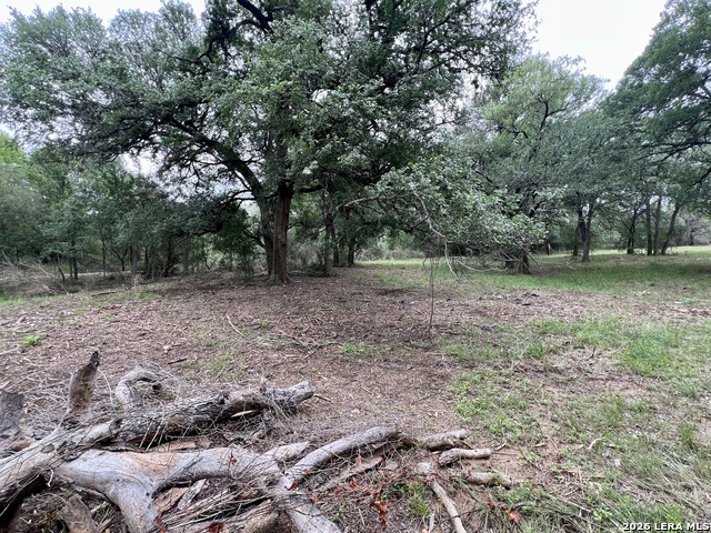 Listing photo id 23 for 0 Low Bid Ln