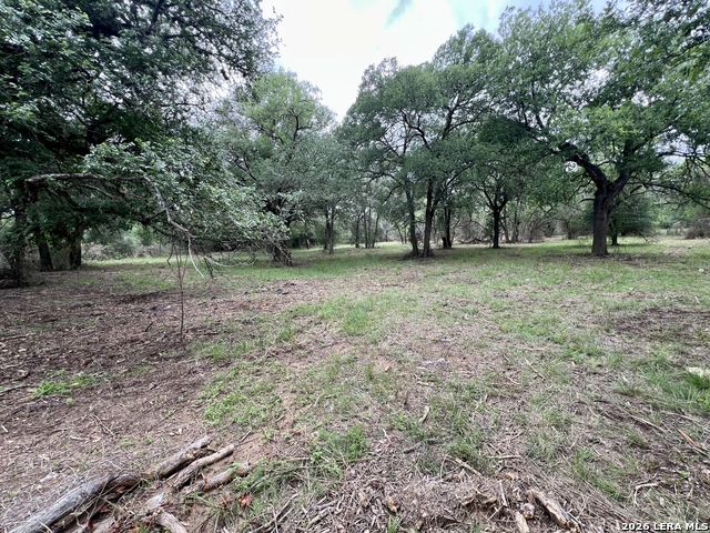 Listing photo id 24 for 0 Low Bid Ln