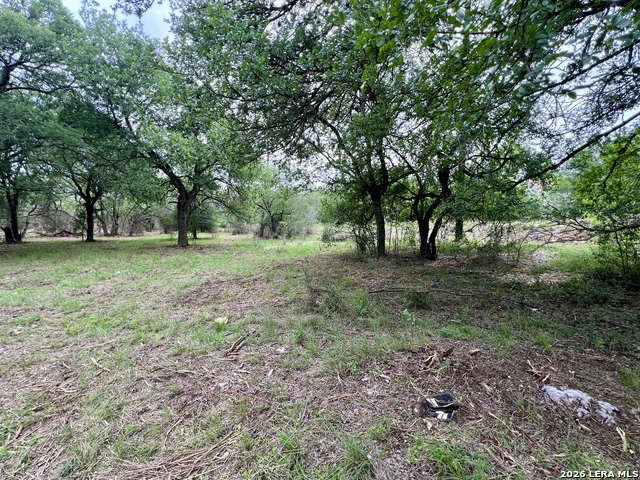 Listing photo id 25 for 0 Low Bid Ln