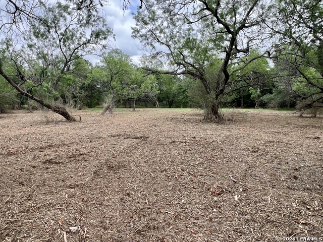 Listing photo id 26 for 0 Low Bid Ln