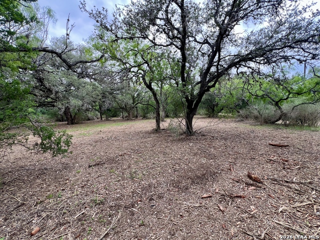 Listing photo id 27 for 0 Low Bid Ln