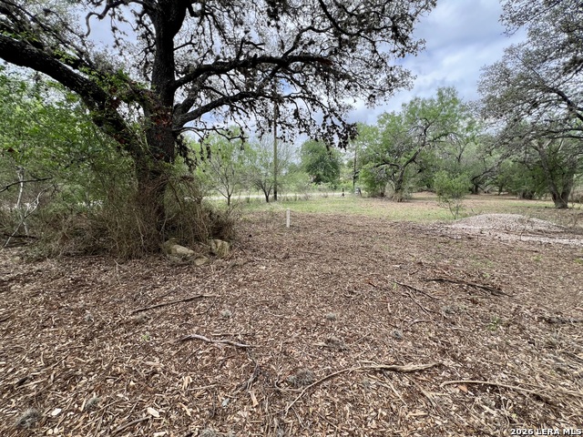 Listing photo id 3 for 0 Low Bid Ln