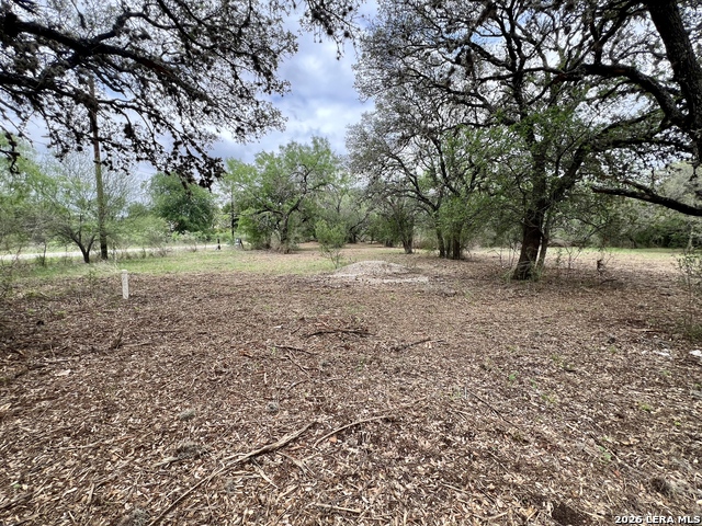 Listing photo id 6 for 0 Low Bid Ln