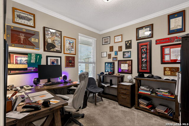 Image 24 of 35 For 4615 Trevor Way