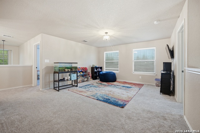 Image 18 of 29 For 313 Brook Shadow