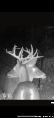 Image 10 of 12 For 8933 County Road 401