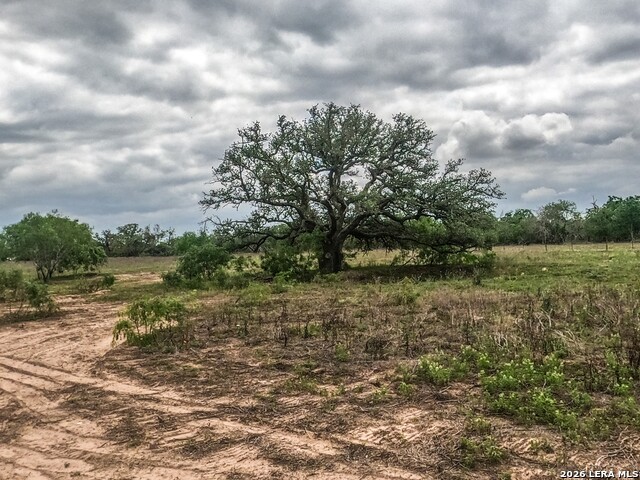 Image 11 of 12 For 8933 County Road 401