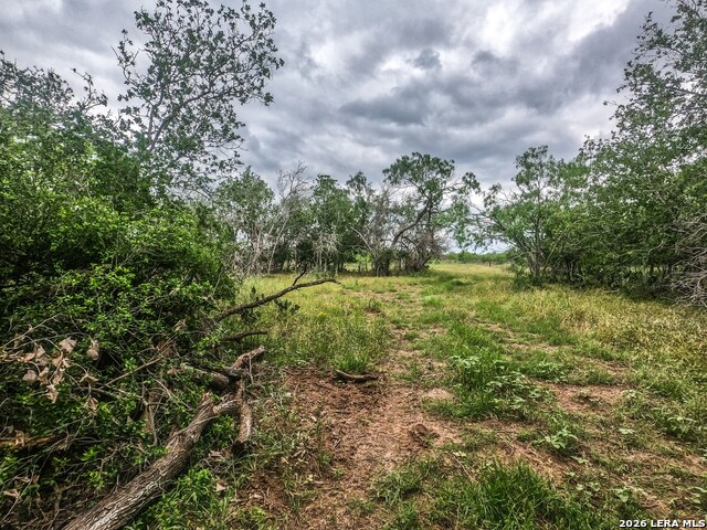 Image 12 of 12 For 8933 County Road 401