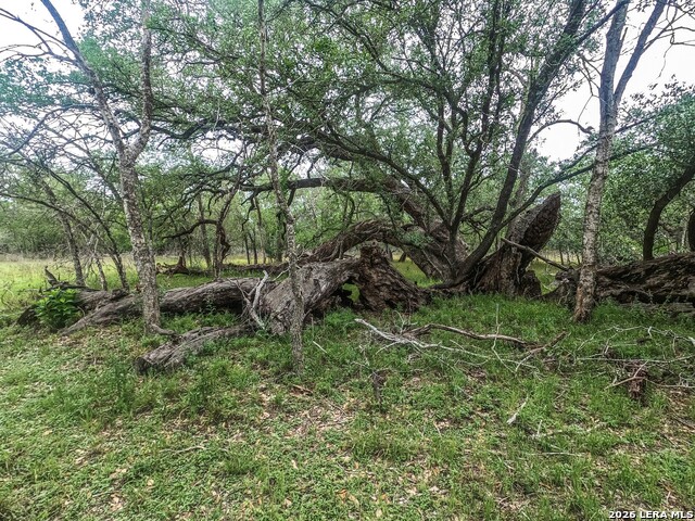 Image 4 of 12 For 8933 County Road 401