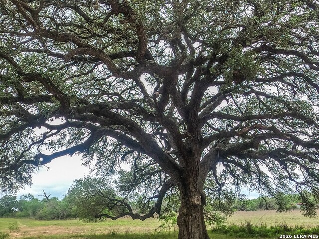 Image 5 of 12 For 8933 County Road 401