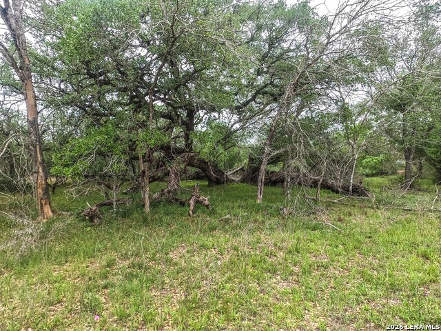 Image 7 of 12 For 8933 County Road 401