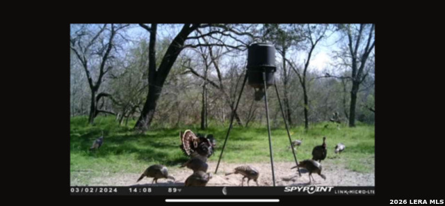 Image 8 of 12 For 8933 County Road 401