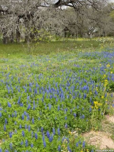 Image 9 of 12 For 8933 County Road 401