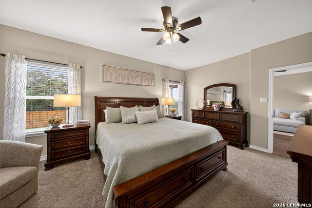 Image 18 of 32 For 630 Cheeked Pintail