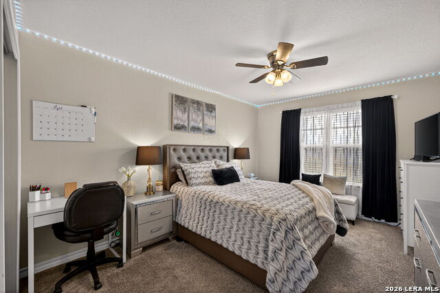 Image 23 of 32 For 630 Cheeked Pintail