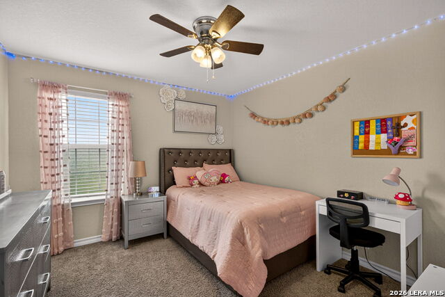 Image 24 of 32 For 630 Cheeked Pintail