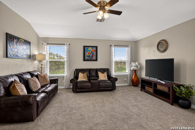 Image 29 of 32 For 630 Cheeked Pintail