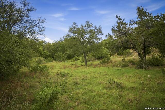 Image 17 of 32 For 31368 Wildcat Dr