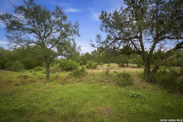 Image 19 of 32 For 31368 Wildcat Dr