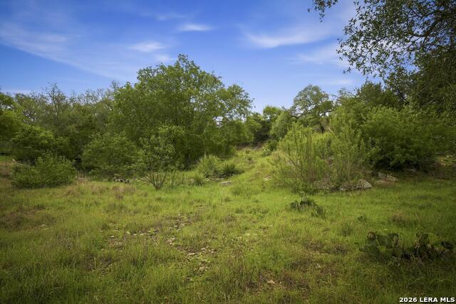 Image 21 of 32 For 31368 Wildcat Dr