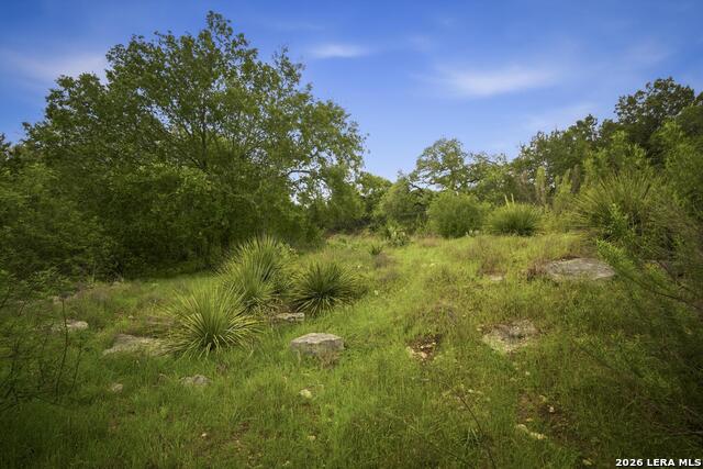 Image 22 of 32 For 31368 Wildcat Dr