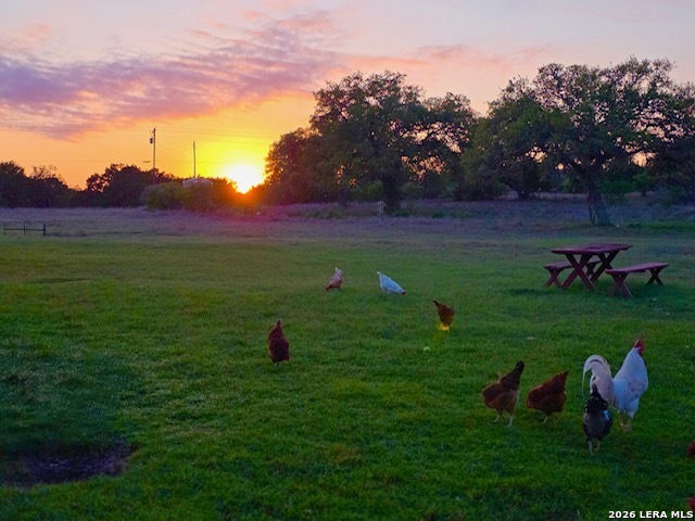 Image 36 of 43 For 106 River Mountain Dr