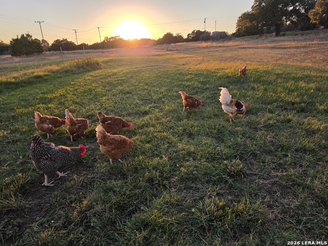 Image 43 of 43 For 106 River Mountain Dr