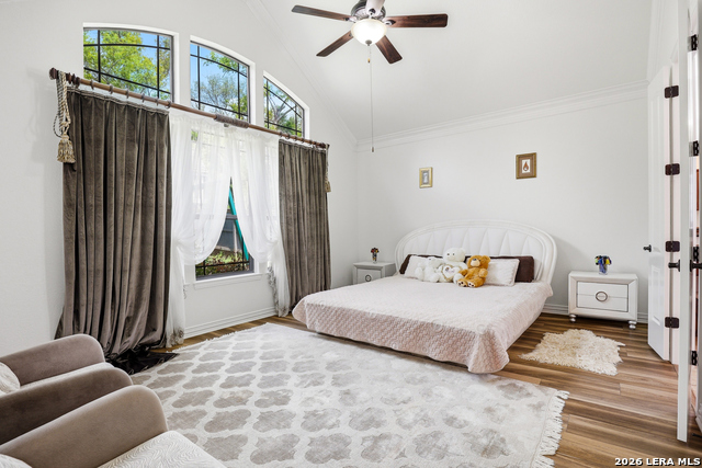 Image 14 of 50 For 3023 Spider Lily