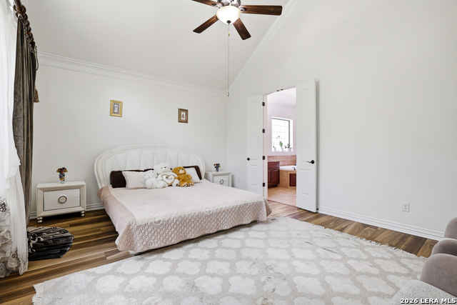 Image 16 of 50 For 3023 Spider Lily