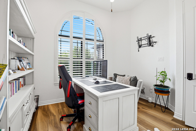 Image 20 of 50 For 3023 Spider Lily