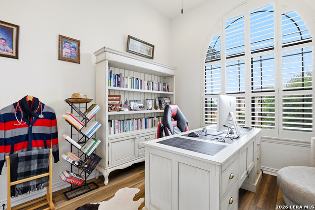 Image 21 of 50 For 3023 Spider Lily