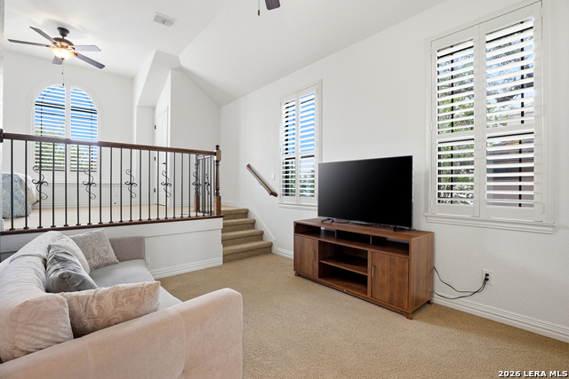 Image 22 of 50 For 3023 Spider Lily