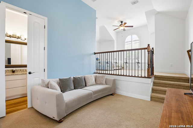 Image 23 of 50 For 3023 Spider Lily