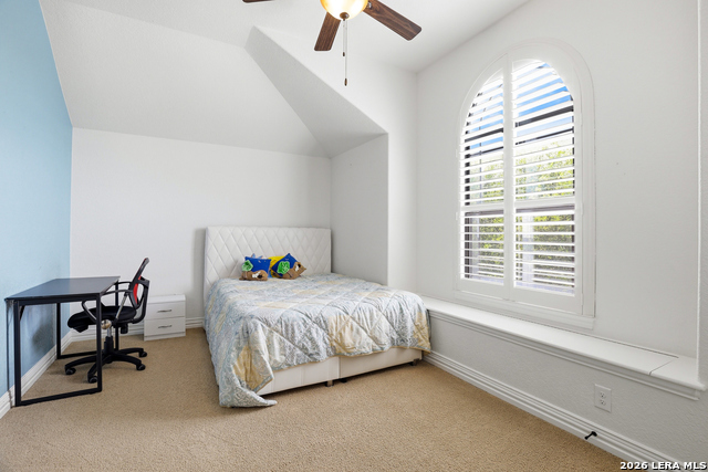 Image 24 of 50 For 3023 Spider Lily