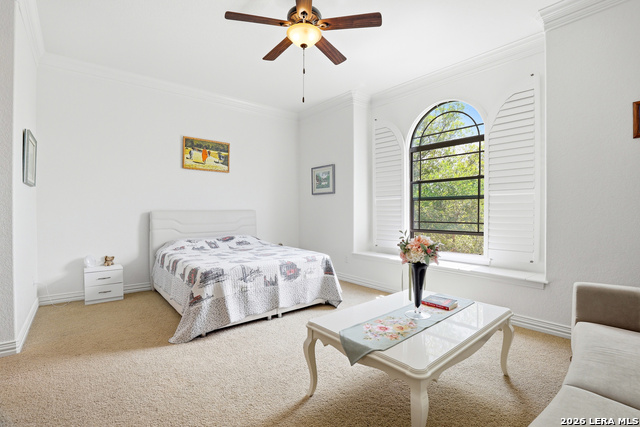 Image 29 of 50 For 3023 Spider Lily