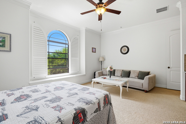 Image 30 of 50 For 3023 Spider Lily