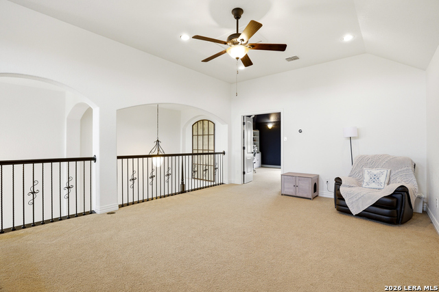 Image 34 of 50 For 3023 Spider Lily