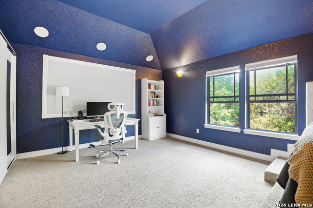 Image 35 of 50 For 3023 Spider Lily