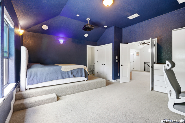 Image 36 of 50 For 3023 Spider Lily