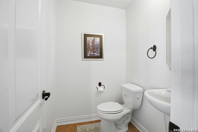 Image 37 of 50 For 3023 Spider Lily