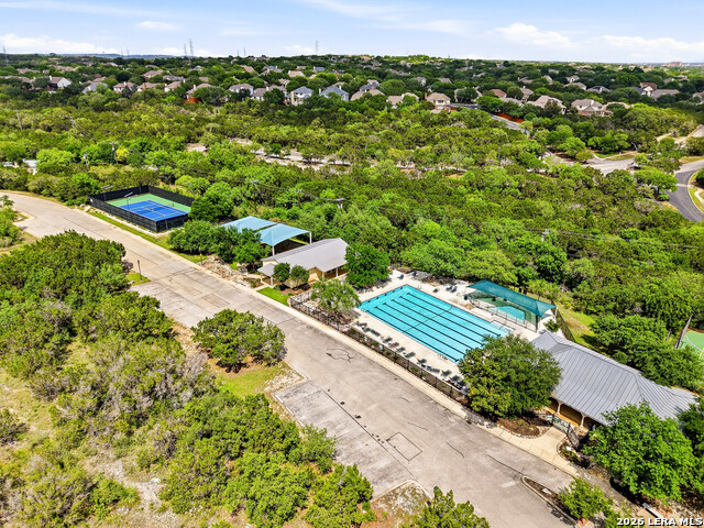 Image 45 of 50 For 3023 Spider Lily