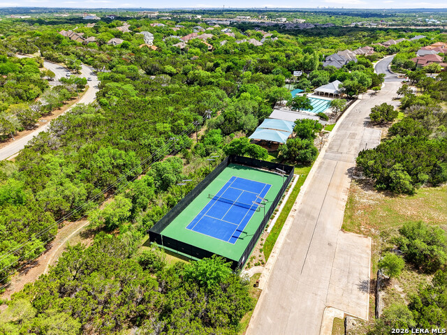Image 46 of 50 For 3023 Spider Lily