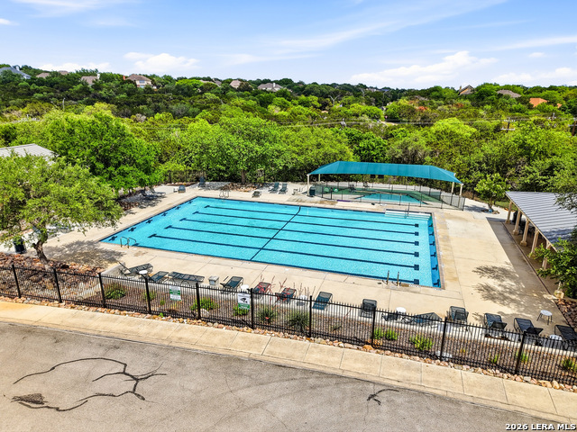 Image 47 of 50 For 3023 Spider Lily
