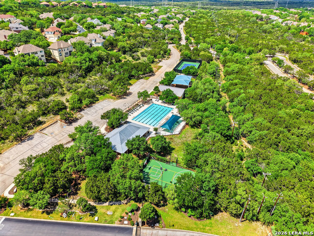 Image 49 of 50 For 3023 Spider Lily