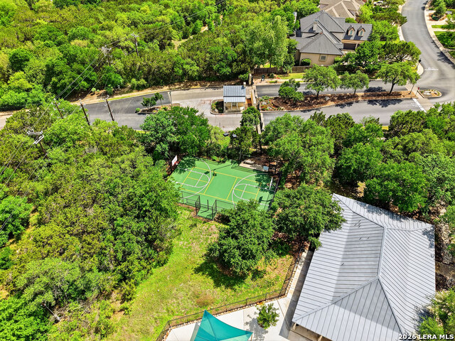 Image 50 of 50 For 3023 Spider Lily