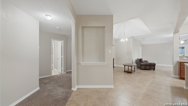 Image 10 of 36 For 343 Cylamen  