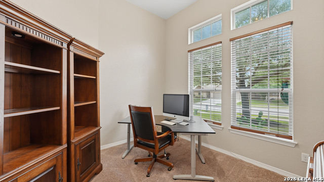 Image 12 of 36 For 343 Cylamen  