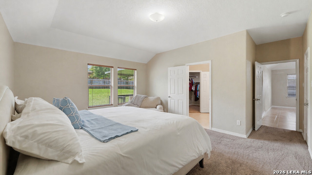 Image 18 of 36 For 343 Cylamen  