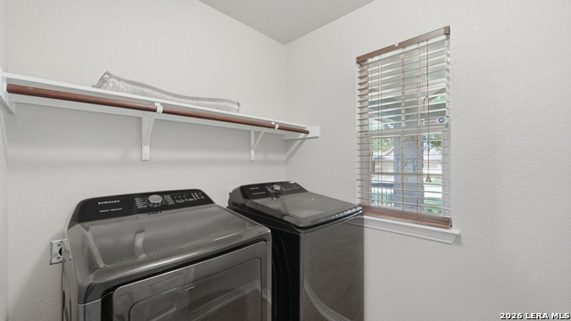 Image 9 of 36 For 343 Cylamen  