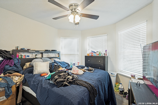 Image 20 of 25 For 4722 Gambels Quail